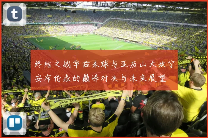 终结之战华兹米球与亚历山大坎宁安布伦森的巅峰对决与未来展望